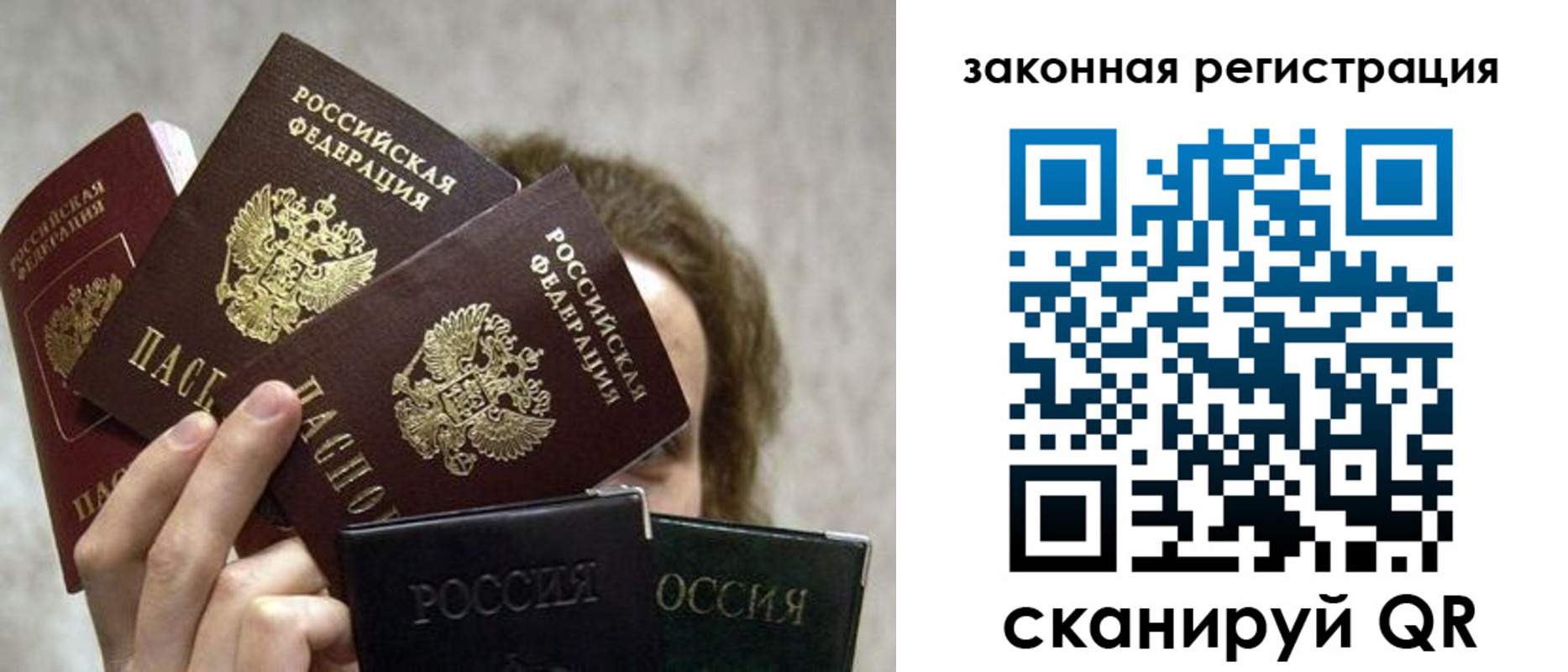 прописка в Вольске